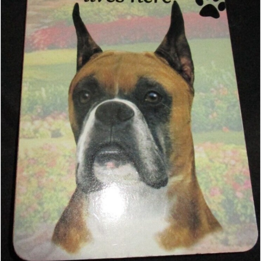 New Boxer Doorknob Hanger
